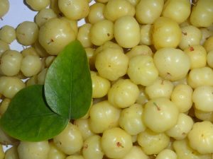 natural remedy for the vagina gooseberry